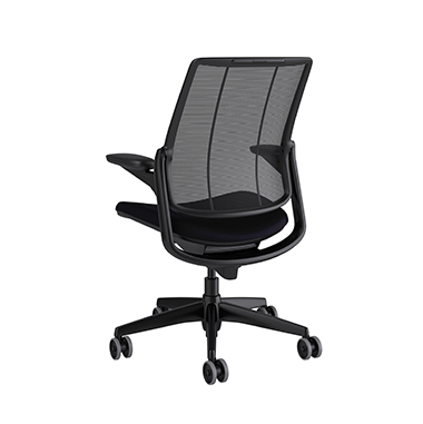 Diffrient Smart Chair, Monofilament Stripe Black Back, Corde4 Black Seat Picture 3